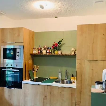 La Unique - Le Jardin Sur Les Pyrenees- Vue Panoramique Montagne -jardin Cloture Prive De 100m2-parking-linge De Lit Et Serviettes Compris- Bielle