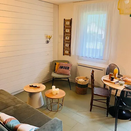 La Unique - Le Jardin Sur Les Pyrenees- Vue Panoramique Montagne -jardin Cloture Prive De 100m2-parking-linge De Lit Et Serviettes Compris- Apartment *