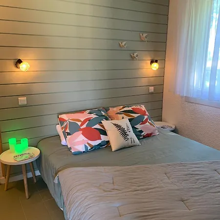 La Unique - Le Jardin Sur Les Pyrenees- Vue Panoramique Montagne -jardin Cloture Prive De 100m2-parking-linge De Lit Et Serviettes Compris- Bielle