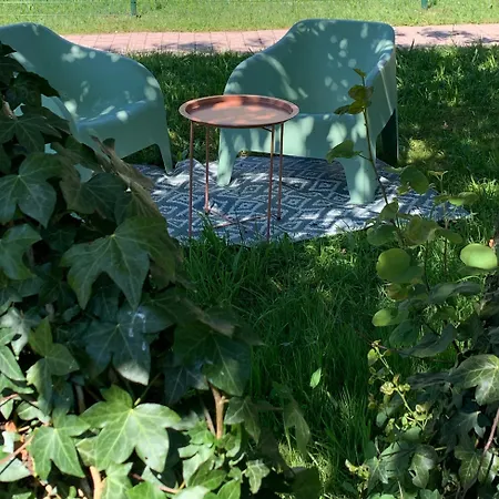 Apartmán La Unique - Le Jardin Sur Les Pyrenees- Vue Panoramique Montagne -jardin Cloture Prive De 100m2-parking-linge De Lit Et Serviettes Compris- Bielle